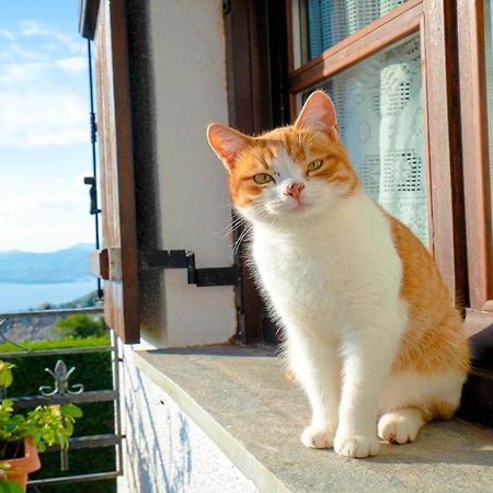 Chrissi Nefeli Daire Agios Georgios Nilias Dış mekan fotoğraf