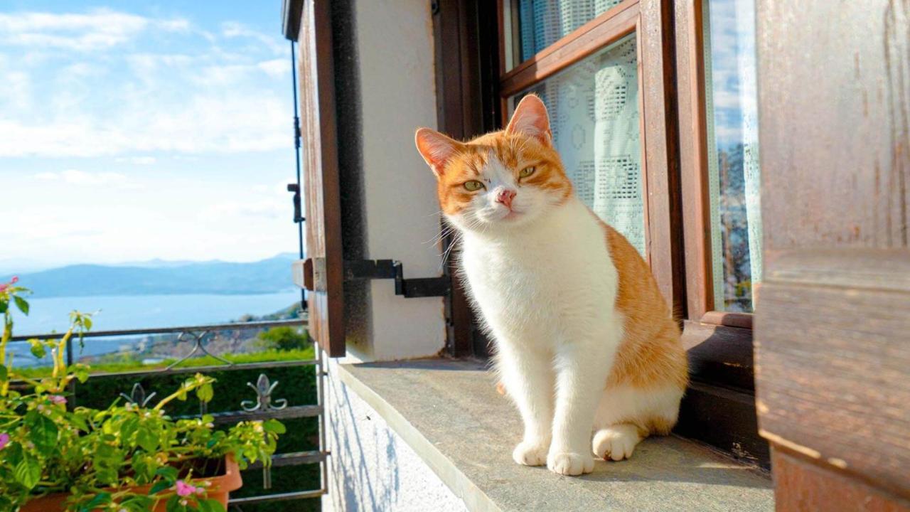 Chrissi Nefeli Daire Agios Georgios Nilias Dış mekan fotoğraf